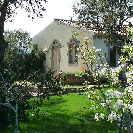 La Scala Guesthouse Berchiddeddu Exterior foto