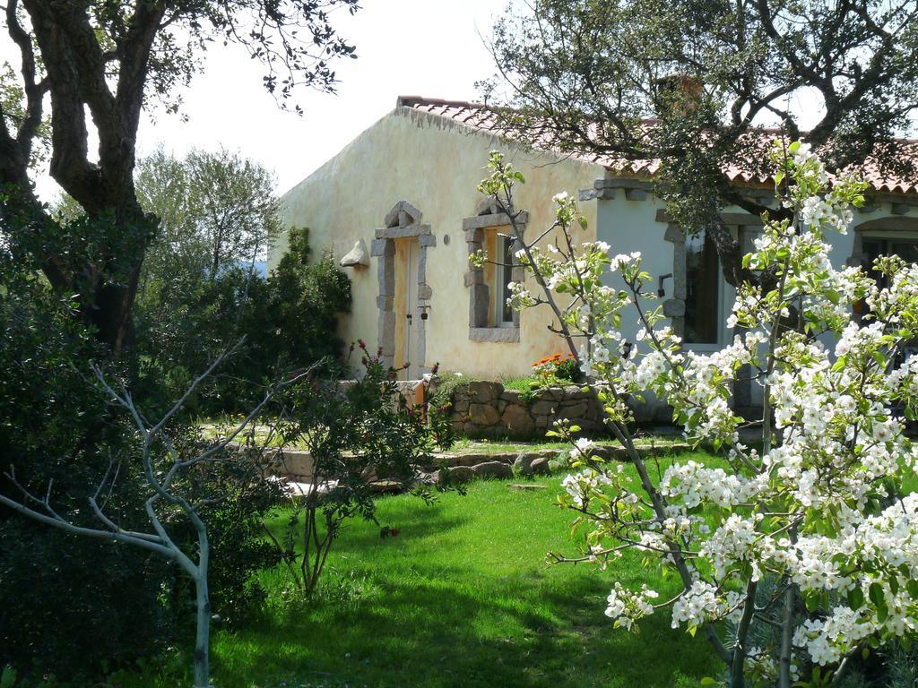 La Scala Guesthouse Berchiddeddu Exterior foto