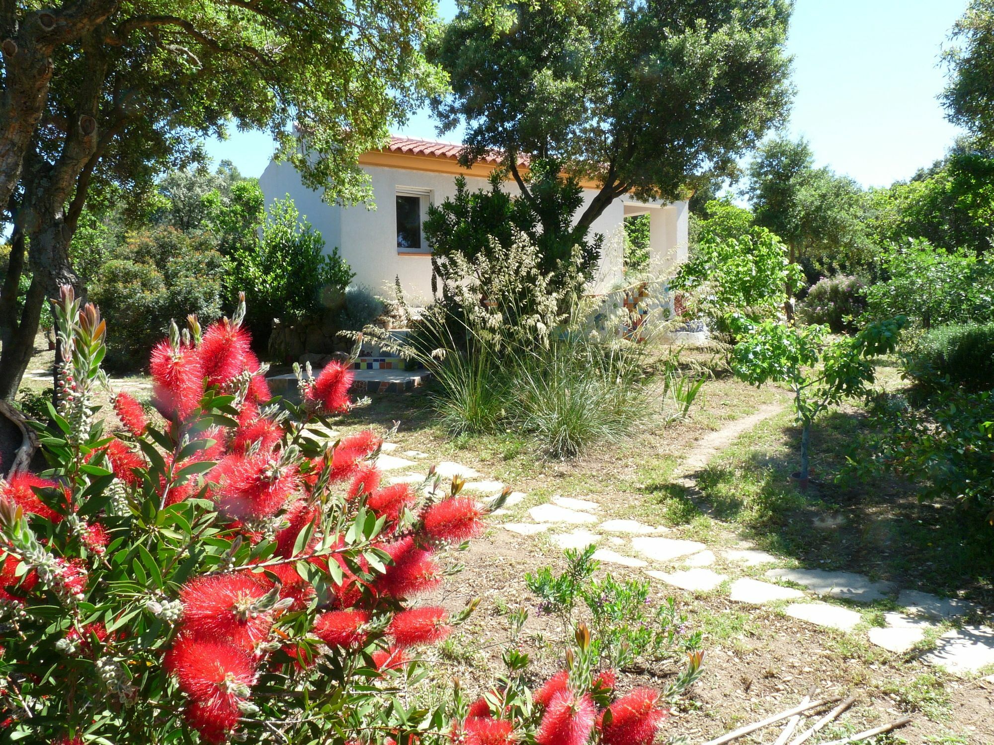 La Scala Guesthouse Berchiddeddu Exterior foto